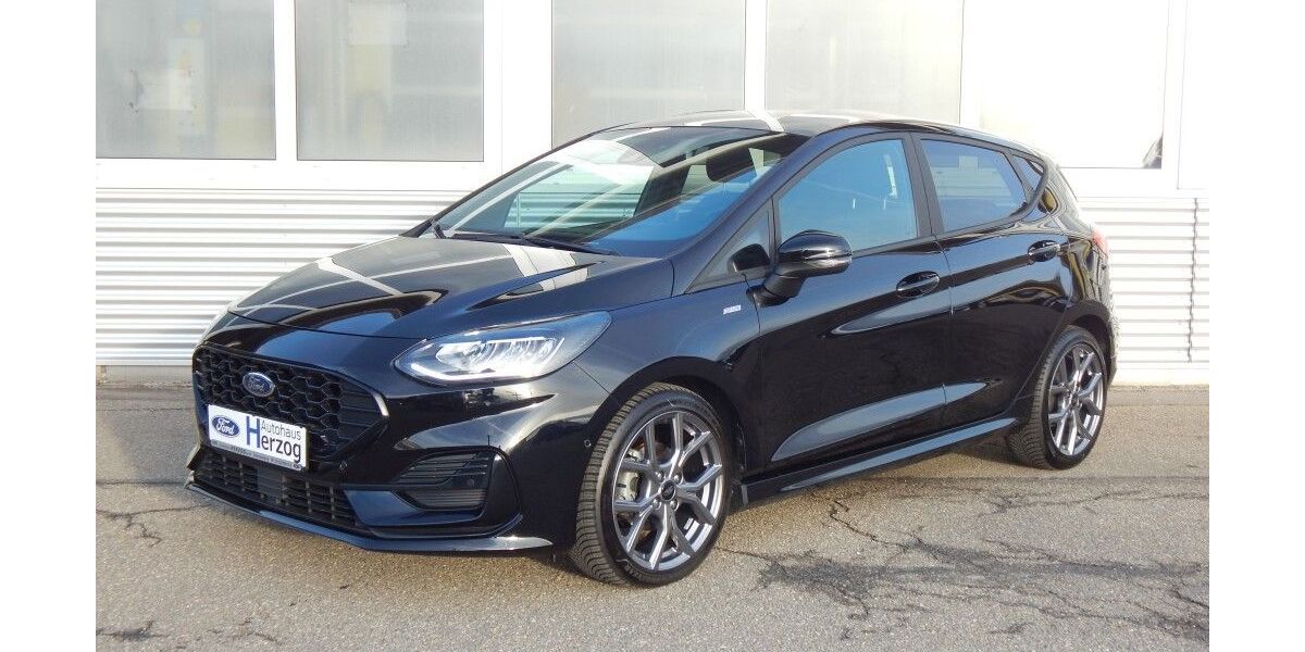 Ford Fiesta 18.800 km 17.990 € Schramberg 78713