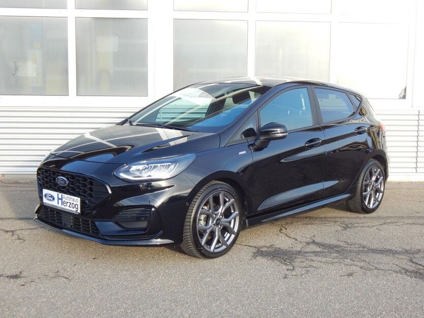 Ford Fiesta 18.800 km 18.990 € Schramberg 78713