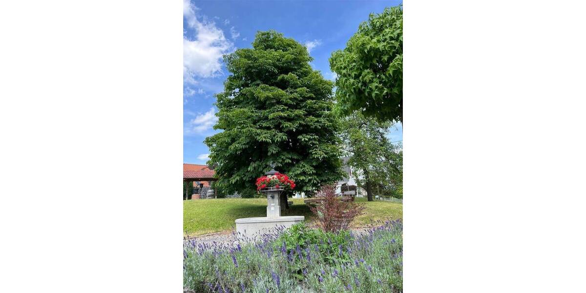 Grundstück Salem Rickenbach - 243.320&euro; | Angebot:26834595