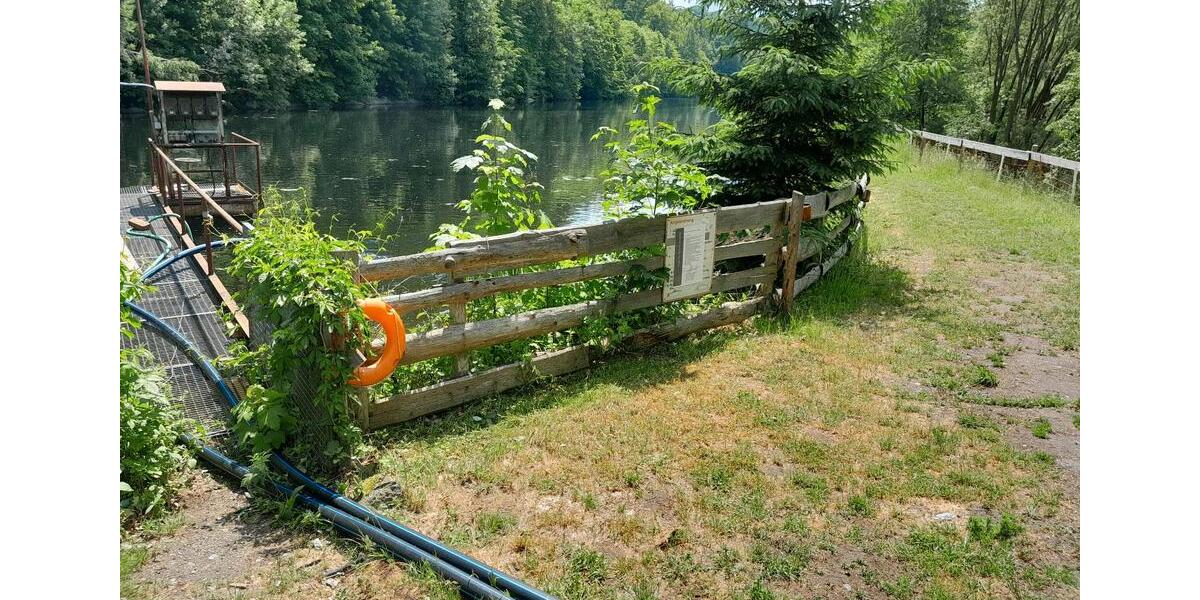 Gewerbeobjekt Gornsdorf - 30&euro; | Angebot:11165397