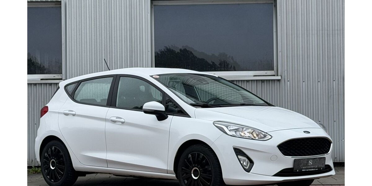 Ford Fiesta 100.679 km 8.490 &euro; Flensburg 24941