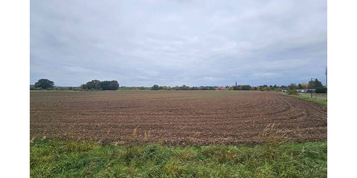 Grundstück Muldestausee Schlaitz - 350.000&euro; | Angebot:25916711