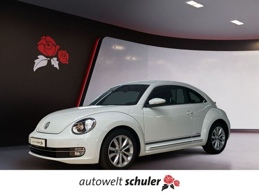 Beetle