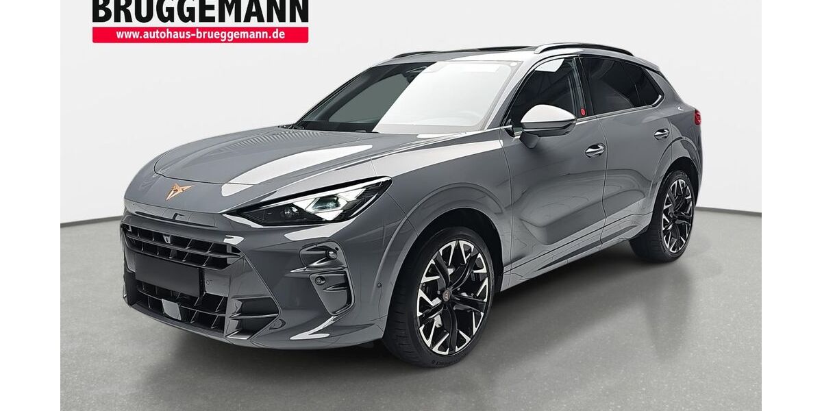 Cupra Terramar 2.158 km 46.990 &euro; Rheine 48432