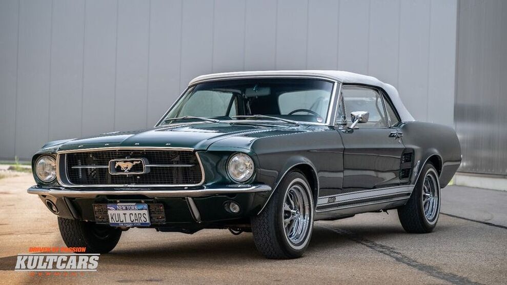 Mustang