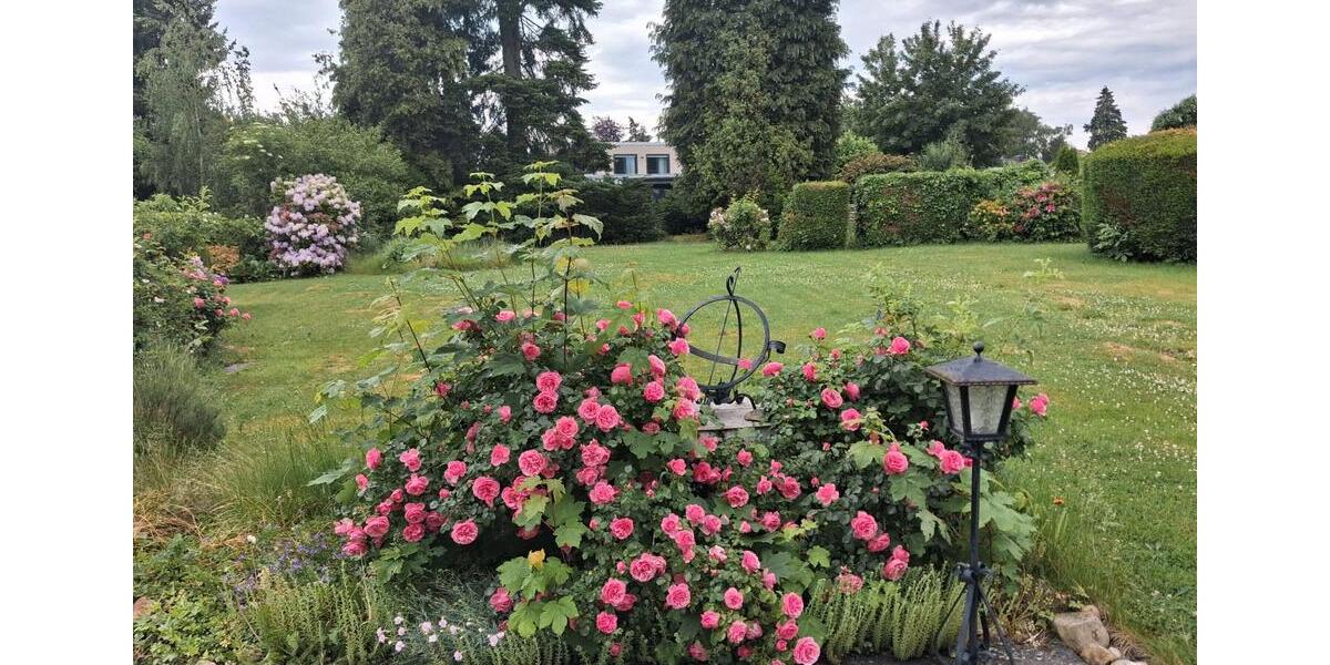 Einfamilienhaus Würselen - 3 Zimmer, 90 m&sup2;, 320.000&euro; | Angebot:26758726