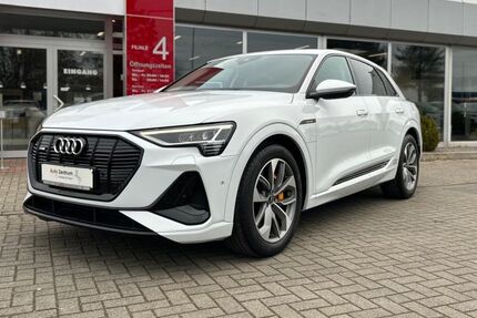Audi e-tron 83.000 km 32.970 &euro; Helmstedt 38350