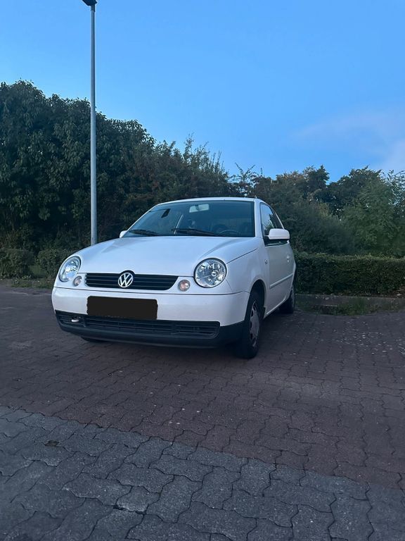 Lupo