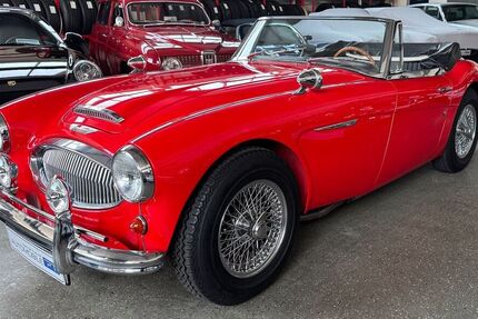 Austin Healey Andere