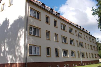 4-Raum-Wohnung in naturnaher ruhiger Lage von Elsnig - ideal für Familien mit Kindern! 4 zimmer