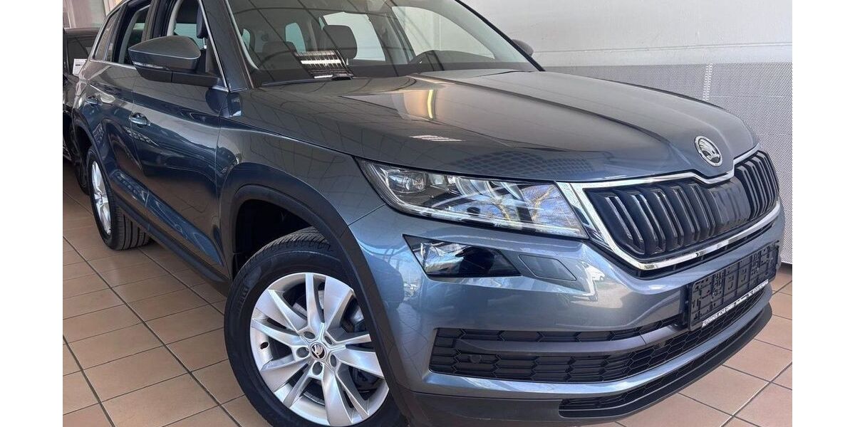 Skoda Kodiaq 115.600 km 27.990 &euro; Heilbronn 74080