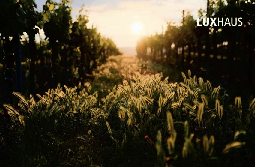 Grundstück Waldbronn - 340.000&euro; | Angebot:25195046