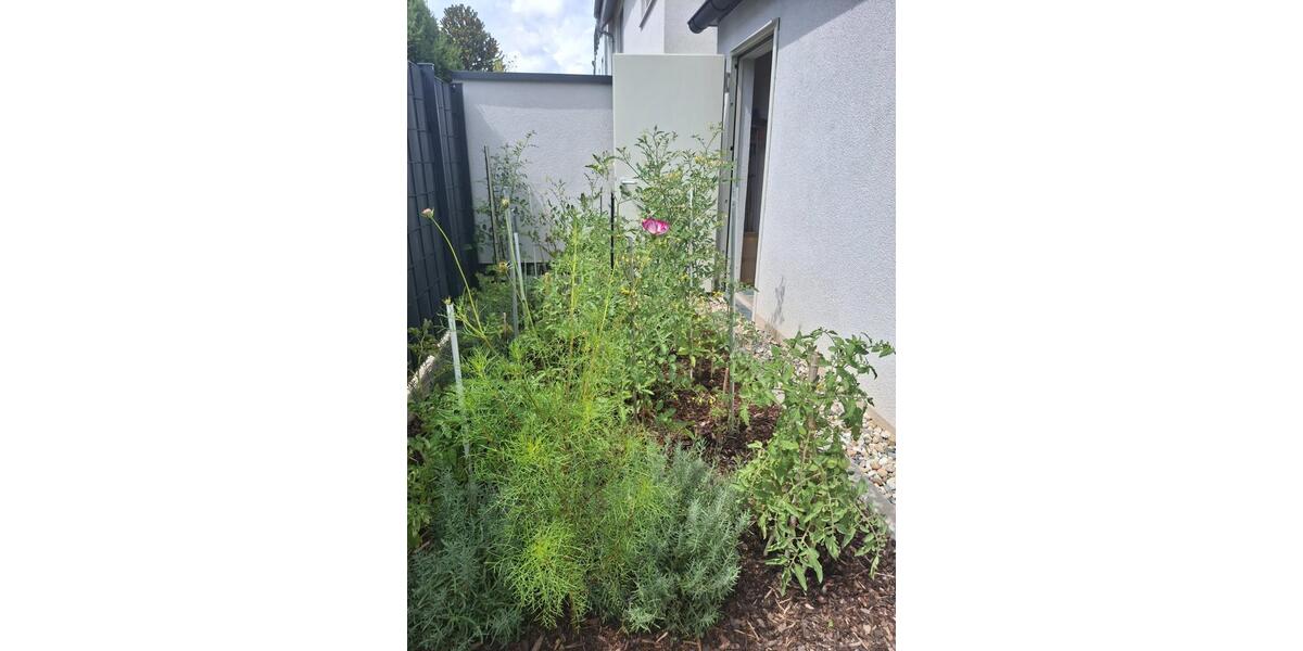 Reihenhaus Karlsruhe Innenstadt-Ost - 6 Zimmer, 142 m&sup2;, 970.000&euro; | Angebot:24377174