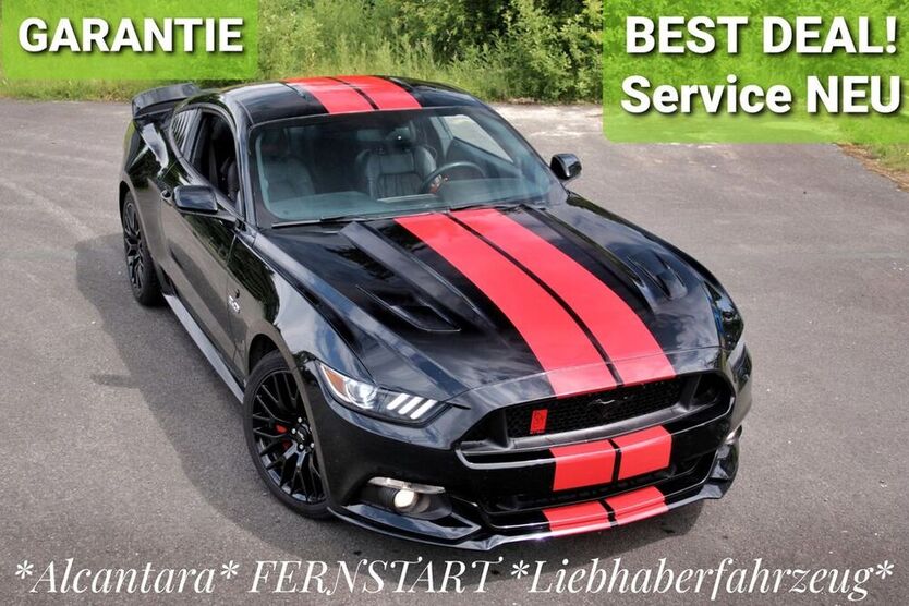 Mustang