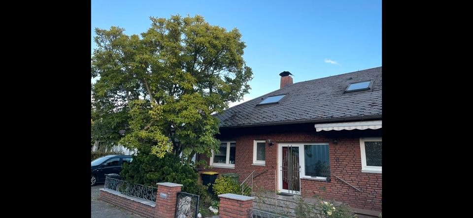Einfamilienhaus freistehend in Meckenheim 6 zimmer