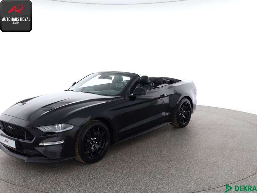 Mustang