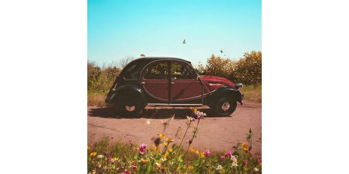 Citroen 2 CV 64.240 km 13.250 &euro; Tangstedt 22889