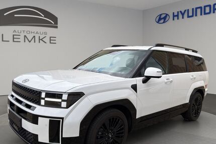 Hyundai SANTA FE 17.800 km 49.990 &euro; Roßleben-Wiehe OT Bottendorf 06571