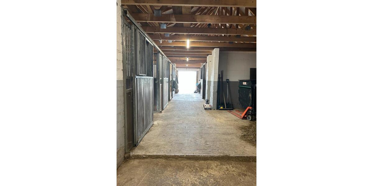 Bauernhaus, Landhaus Berge - 14 Zimmer, 280 m&sup2;, 559.000&euro; | Angebot:26696708