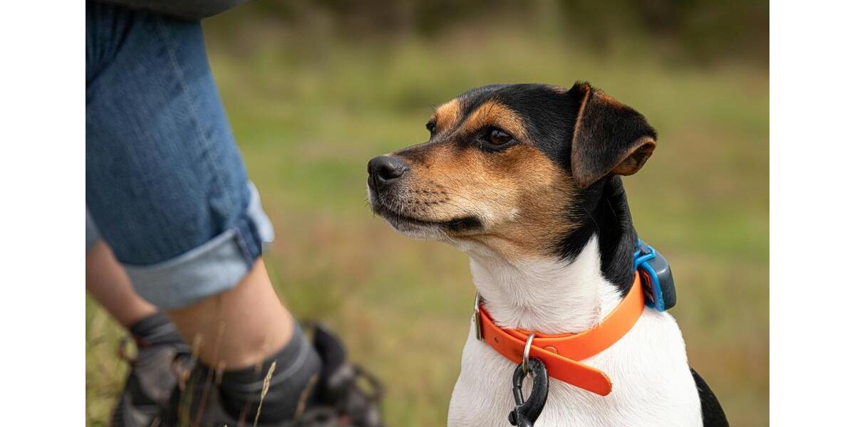 Ferienimmobilie Stuttgart - 80&euro; | Angebot:25908062