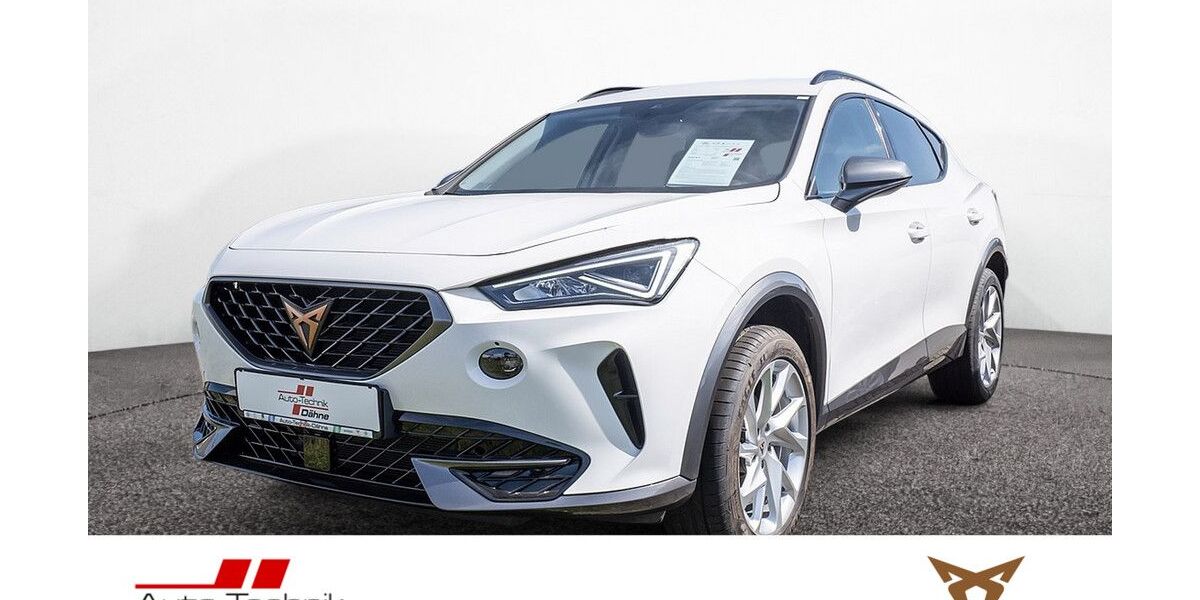 Cupra Formentor 32.201 km 24.880 &euro; Wittenberge 19322