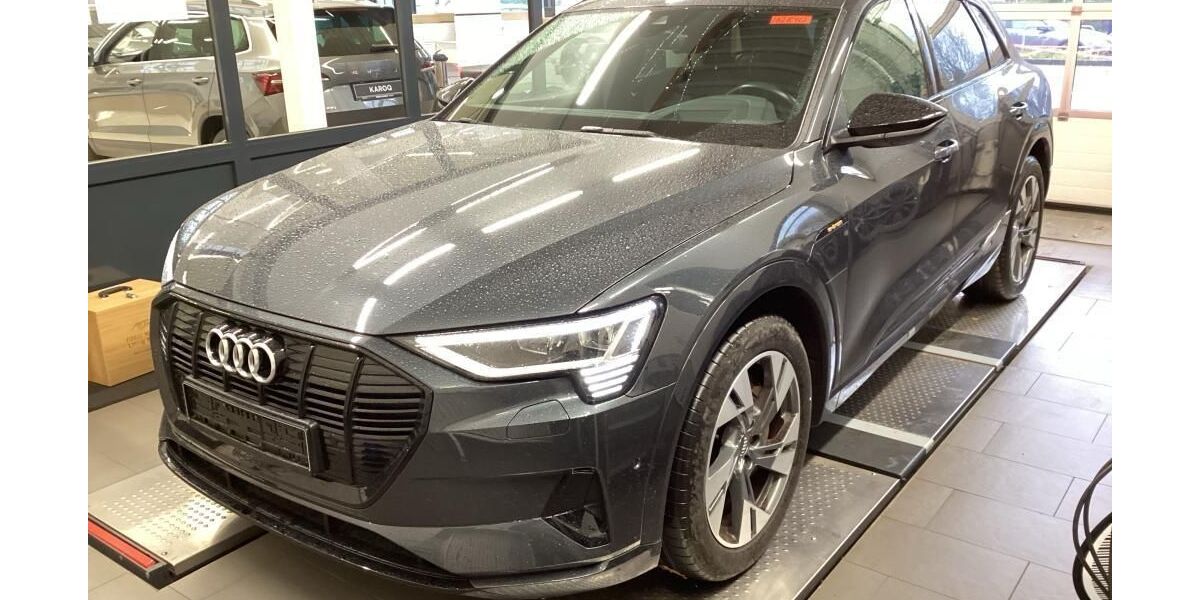 Audi e-tron 73.621 km 32.009 &euro; Hagen 58091