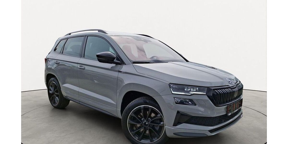 Skoda Karoq 46.035 km 29.150 &euro; Friedberg 61169