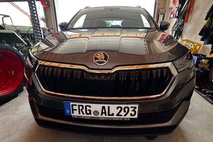 Skoda Karoq 60.000 km 27.500 &euro; Spiegelau 94518