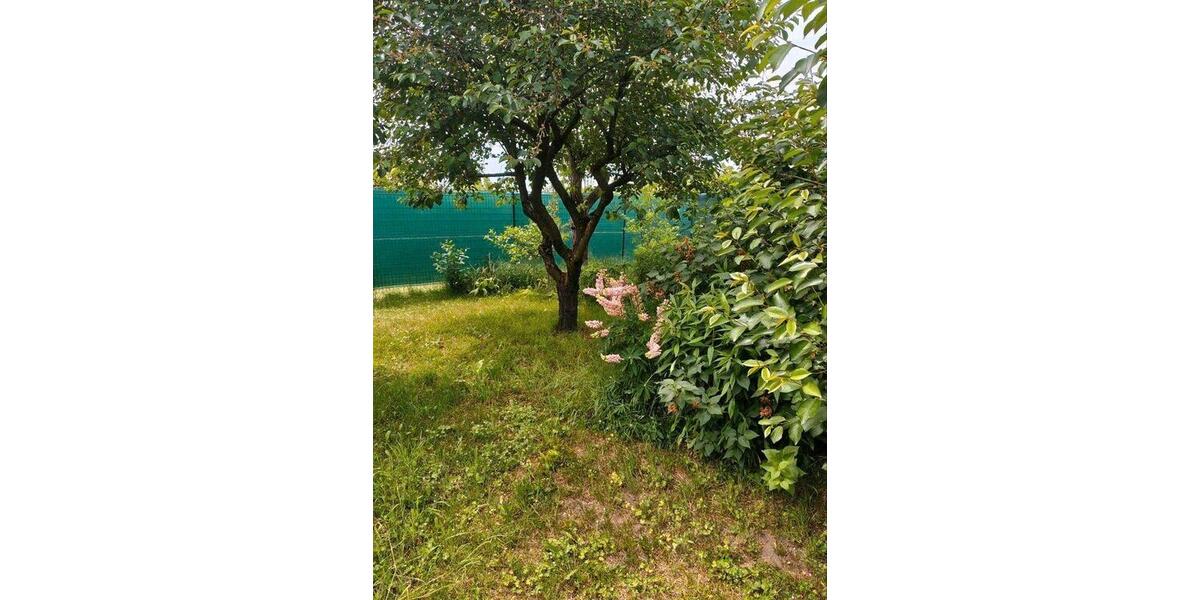 Einfamilienhaus Eberswalde - 3 Zimmer, 123 m&sup2;, 400.000&euro; | Angebot:26876957