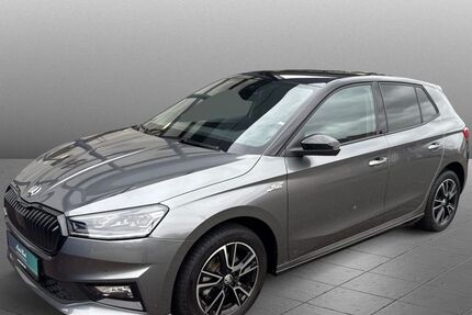 Skoda Fabia 20.445 km 24.890 € Diez 65582