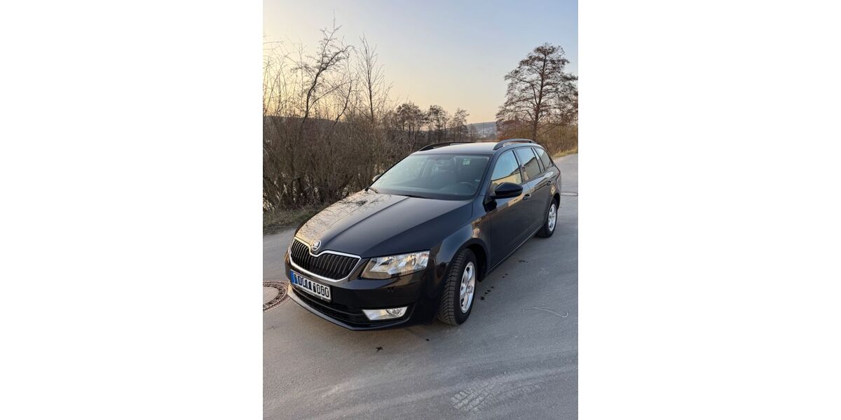 Skoda Octavia 194.000 km 8.300 &euro; Hausen 91353