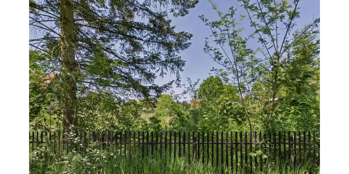 Naturbelassenes Baugrundstück in Hangelsberg - Morgens Vogelstimmen statt Straßenlärm - Grundstück Grünheide (Mark) | Angebot:26786395