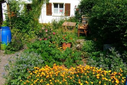 Haus Ellwangen (Jagst) - 7 Zimmer, 100 m&sup2;, 139.000&euro; | Angebot:25615393