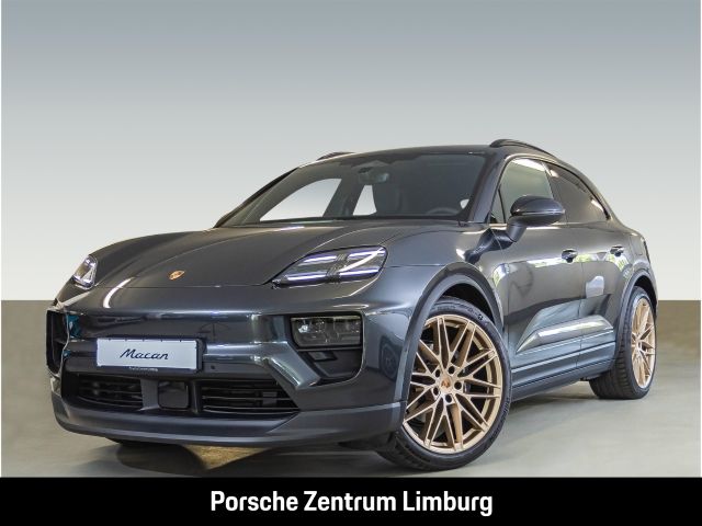 Macan