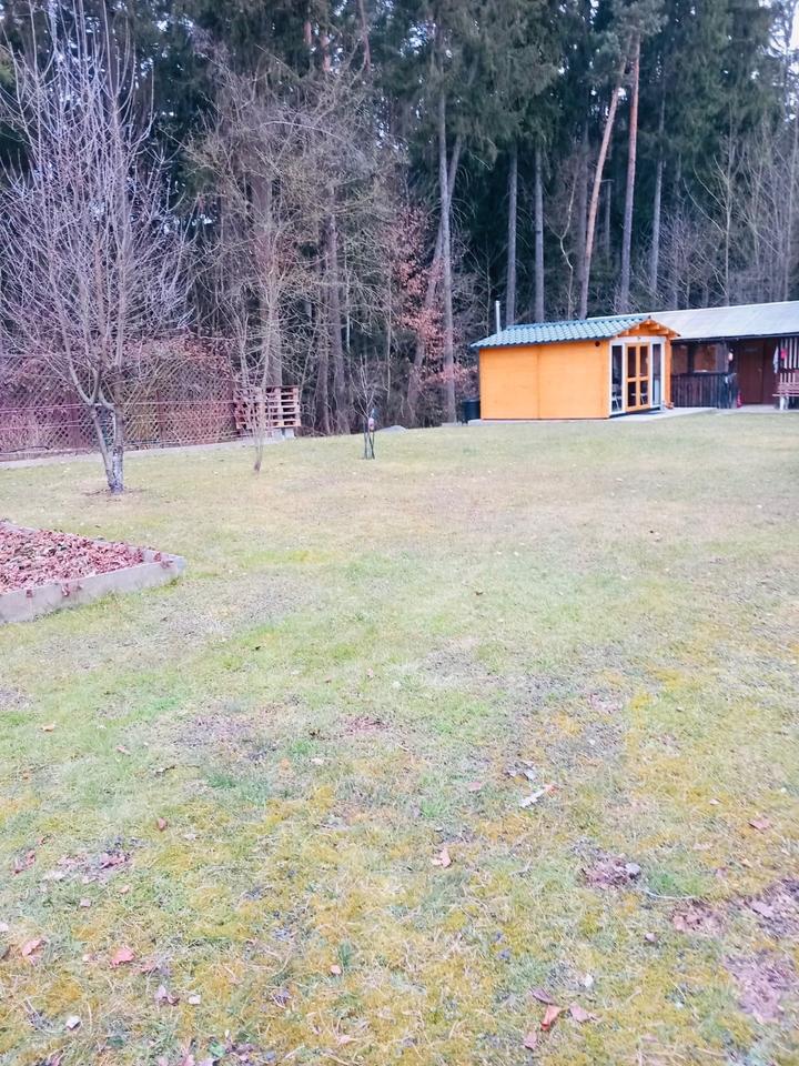 3-Zimmer-Wohnung (EG) mit Kamin und Gartenzugang - Holenbrunn