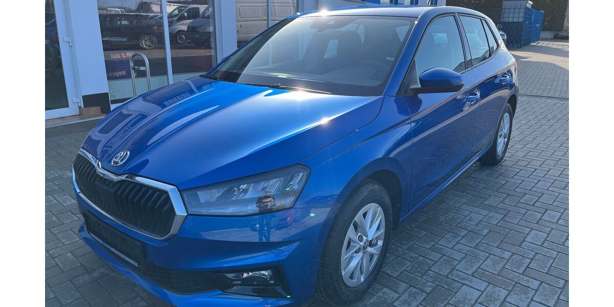 Skoda Fabia 15.432 km 16.490 &euro; Tessin 18195
