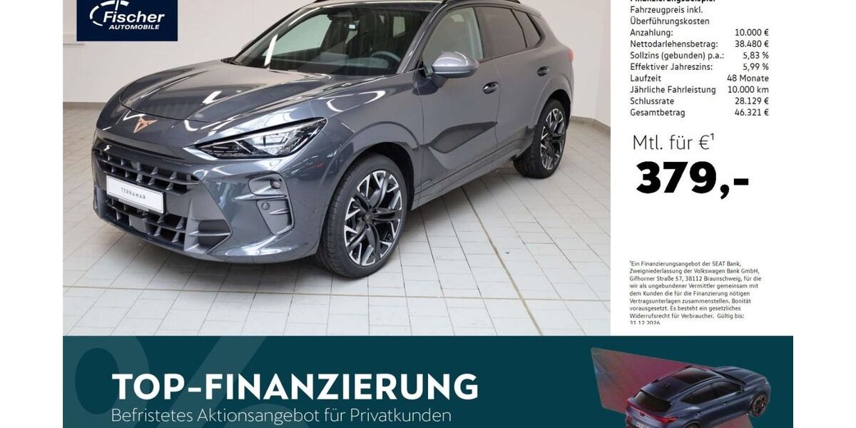 Cupra Terramar 3.852 km 48.480 &euro; Amberg 92224