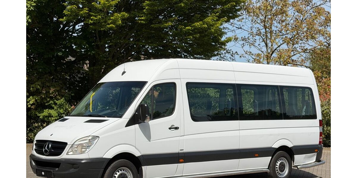 Mercedes-Benz Sprinter 317.017 km 11.781 &euro; Bad Bentheim 48455