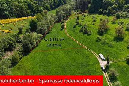 Grundstück in Reichelsheim 28.255 € 14871 m²