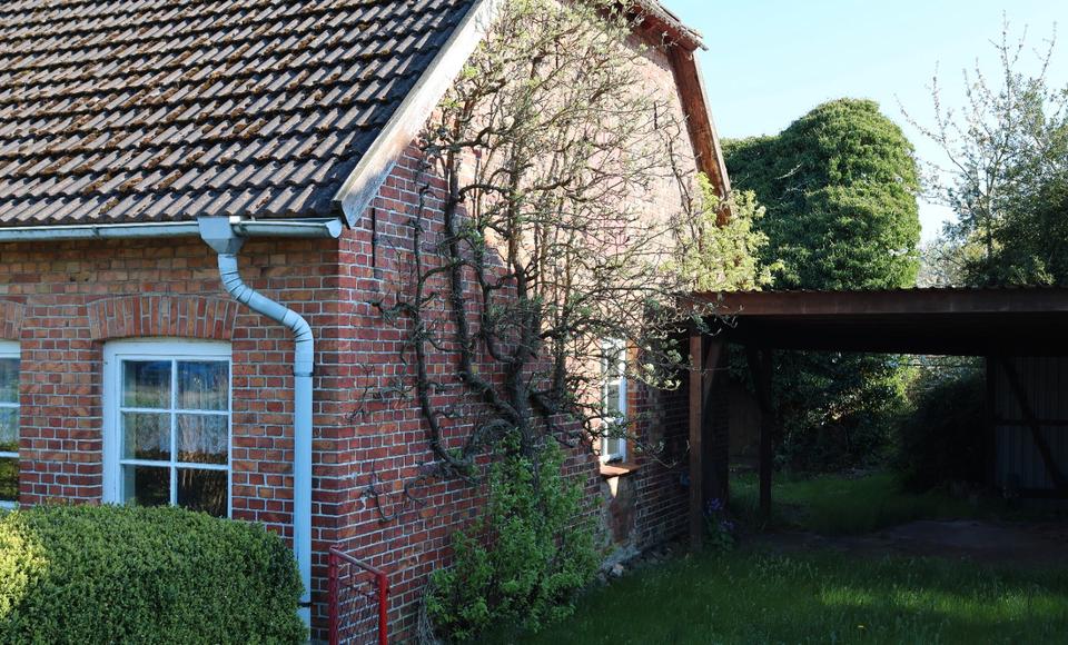 Einfamilienhaus Ribnitz-Damgarten Damgarten - 4 Zimmer, 130 m&sup2;, 65.000&euro; | Angebot:26803295