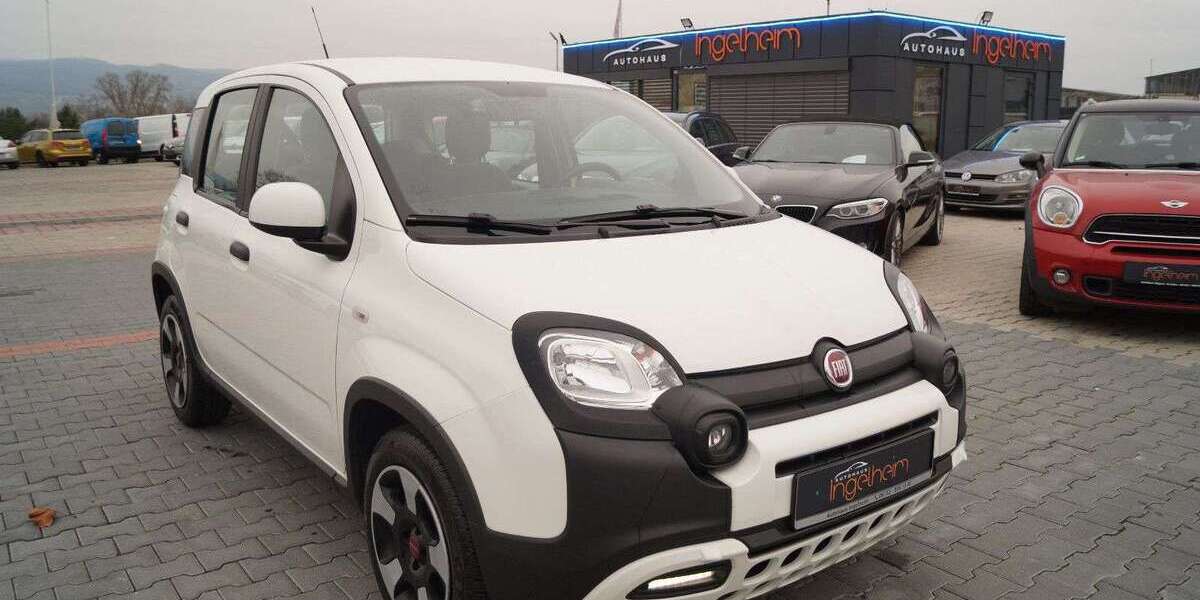 Fiat Panda 49.833 km 10.890 &euro; Ingelheim 55218