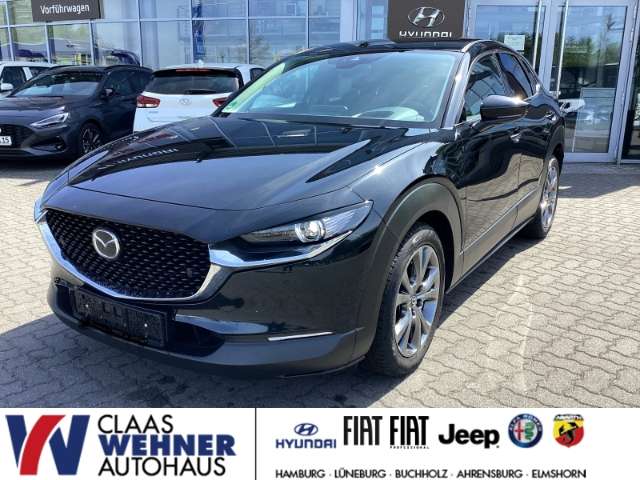 CX-30