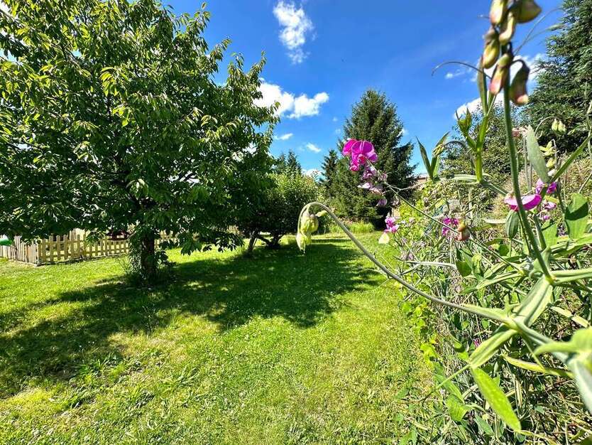 Haus zum Kaufen in Beelitz 543.400 € 230 m²