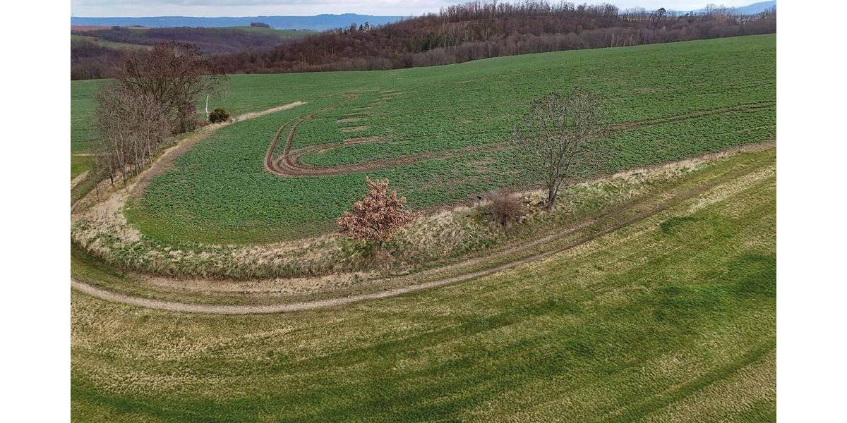 Grundstück Müglitztal Mühlbach - 5.900&euro; | Angebot:26110618