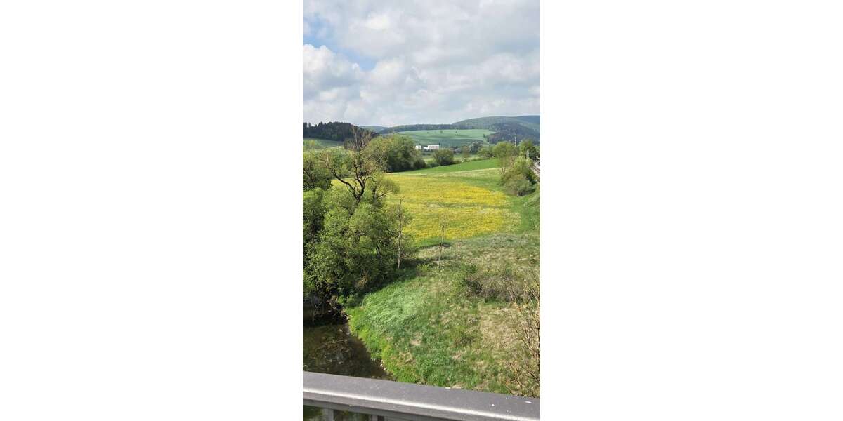 Grundstück Immendingen - 100.000&euro; | Angebot:26764590