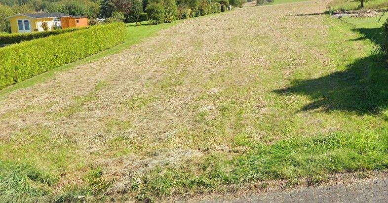 Schlüsselfertig & sorgenfrei - Ihr perfektes Zuhause! 5 zimmer