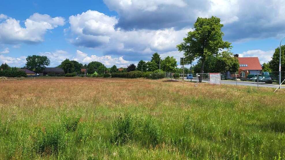 Grundstück zu verkaufen in Schönwald 75.900 € 741 m²