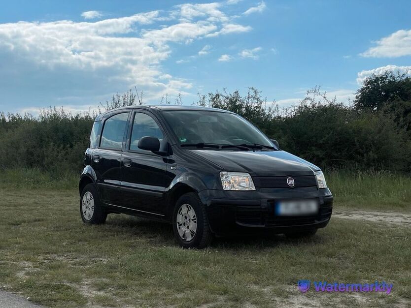 Panda