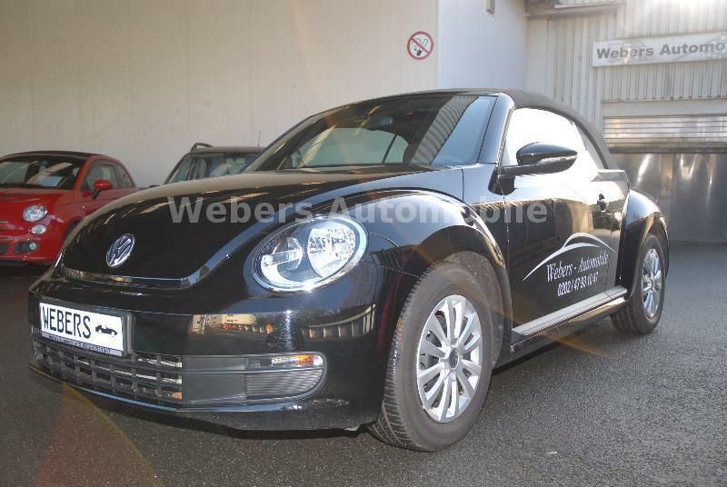 Beetle