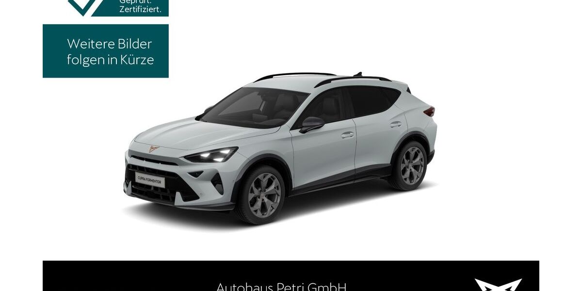 Cupra Formentor 20.974 km 32.230 &euro; Hofheim-Diedenbergen 65719